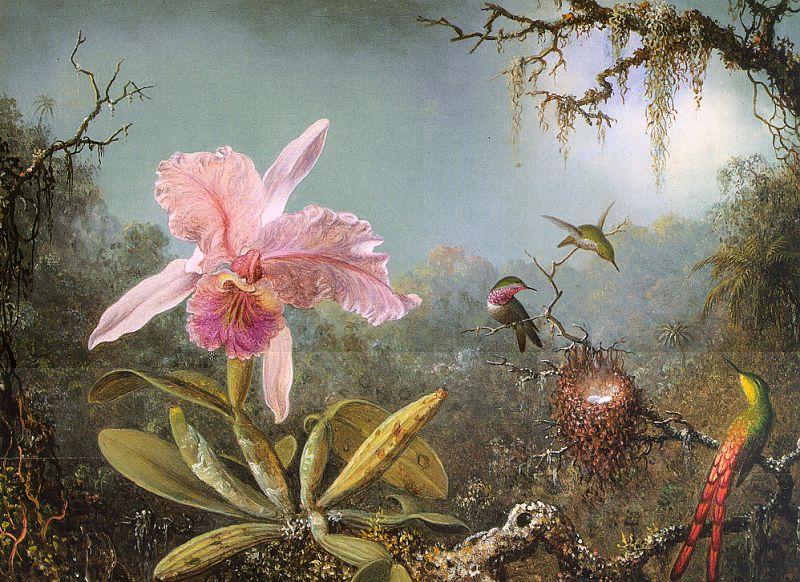 Martin Johnson Heade Cattleya Orchid Three Brazilian Hummingbirds China oil painting art